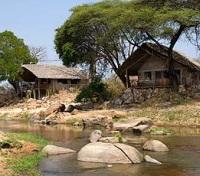 Ruaha River Lodge Foxes