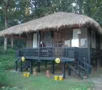 Temple Tiger Jungle Lodge
