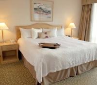 Deluxe King Whirlpool Suite