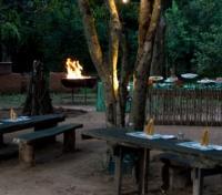Jungle Bar