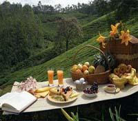 Club Mahindra Lakeview Munnar 