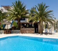 Hotel Albatros Pool