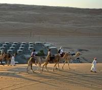 Arabian Oryx Camp