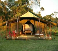 Elephant Pepper Camp 