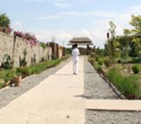 Surrounding gardens