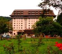 Best Western Bucovina