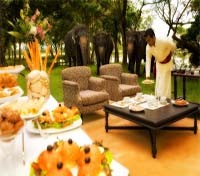Cinnamon Lodge  Restaurant
