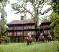 Tiger Tops Jungle Lodge 