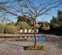 Altiplanico Gardens