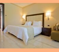 Mountain View Room