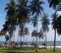 Coconut Grove Beach Resort 