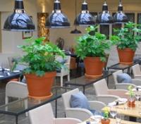 The Broadway Hotel Dining Room