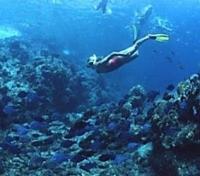 Snorkeling