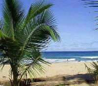 Beach at Cariblue Hotel