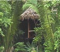 Chiminos Island Lodge