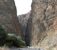 Wadi Camp
