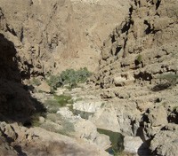 Wadi Camp