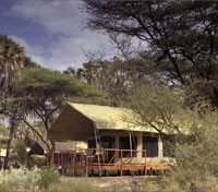 Camp