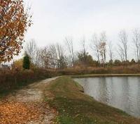 Walking Trail