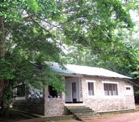 Epulu Guesthouse