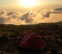 Hike up Kilimanjaro