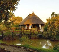 Cottage