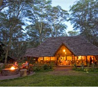 Migunga Forest Camp - Main Lodge