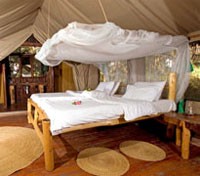 Migunga Forest Camp - Standard Tent Room