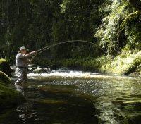 Fishing