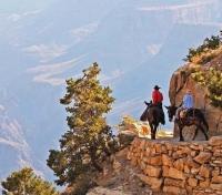Phantom Ranch Mule Rides
