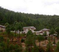 Kunzang Zhing Resort