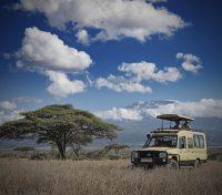 Game Drives, Satao Elerai