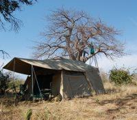 Tent Exterior