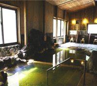 Onsen Hot Springs Indoor
