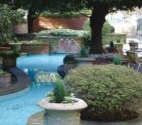 Bedford Hotel Pool