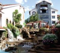 Tribe Hotel