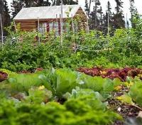 Ultima Thule Lodge Garden