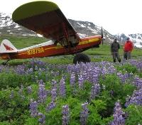 Ultima Thule Lodge Plane