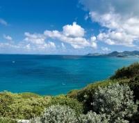 Mongoose Run View