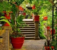 Villa Caletas Hotel Gardens