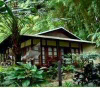 Mango Manor