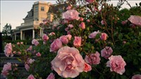 The Chanler Gardens
