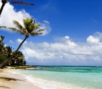 Beach View