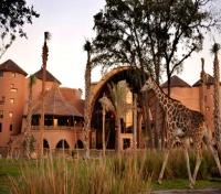 Disney’s Animal Kingdom Villas Surrounding
