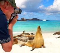 Galapagos Voyager Wildlife