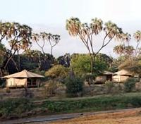 Ashnil Samburu Camp