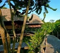 Cotton Tree Lodge
