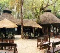 Chitwan Jungle Lodge