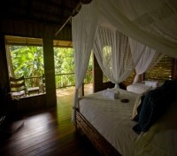 Bosque del Cabo Rainforest Lodge2