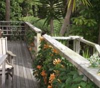 Outside Deck